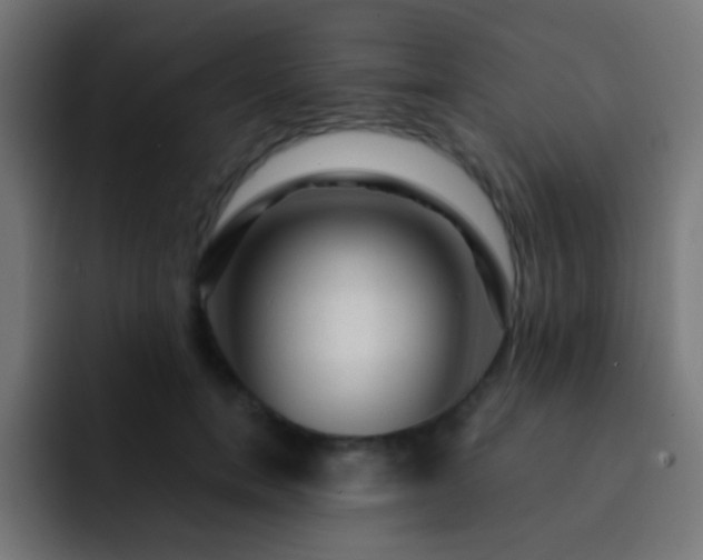 X0000093140750200710031409