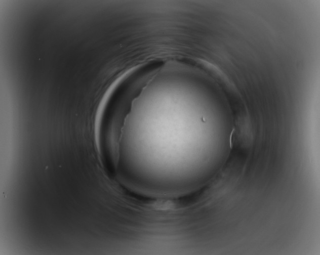 X0000093140762200710031410