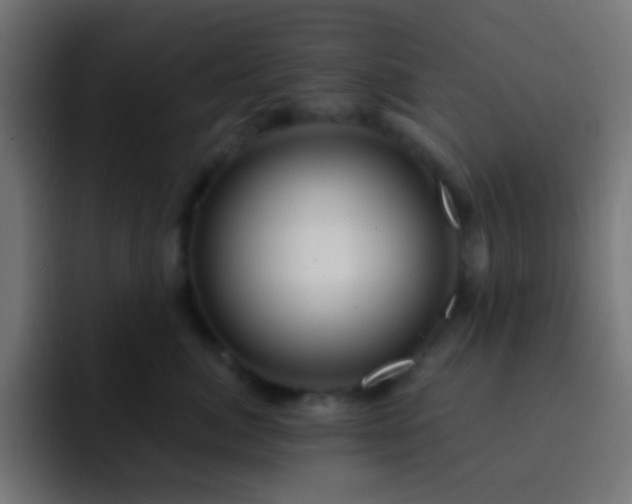 X0000093140764200710031410