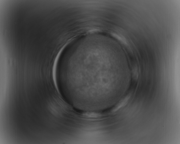X0000093140766200710031410
