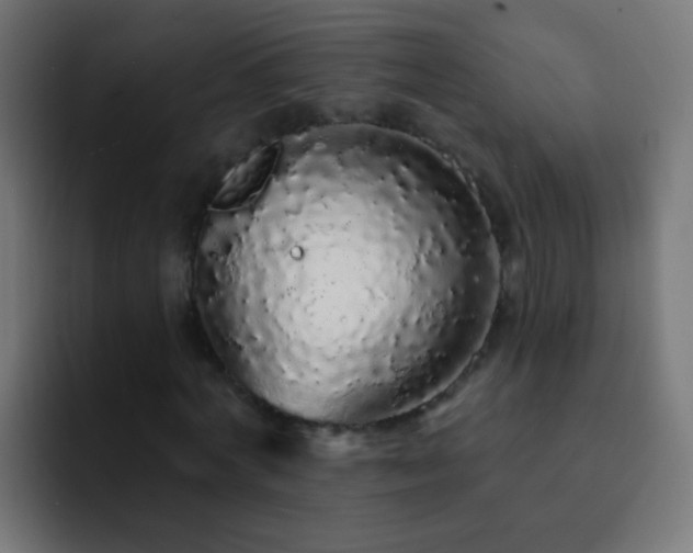 X0000093140772200710031409