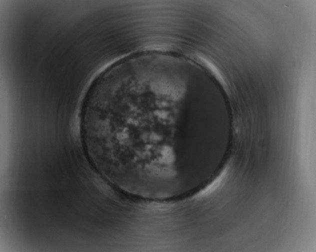 X0000093140779200710031409