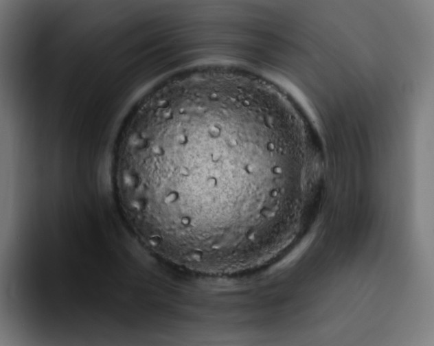 X0000093140783200710031409