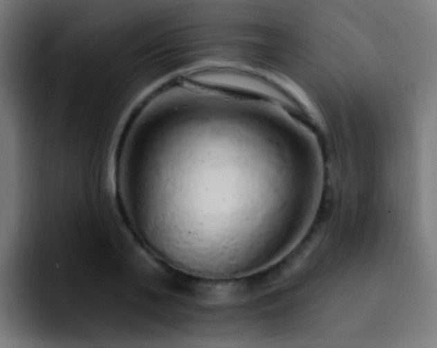 X0000093140791200710031409