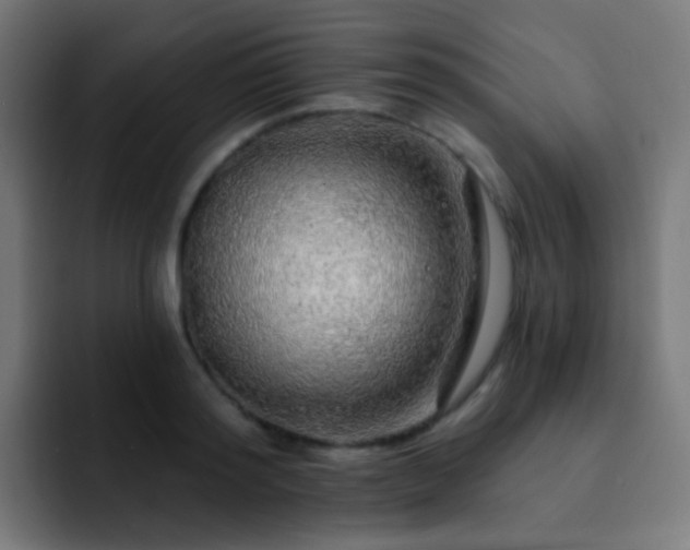 X0000093140796200710031409