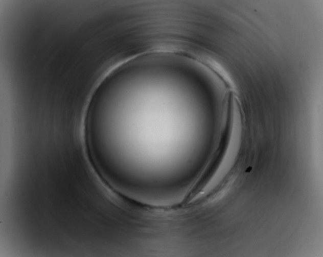 X0000093140803200710031409