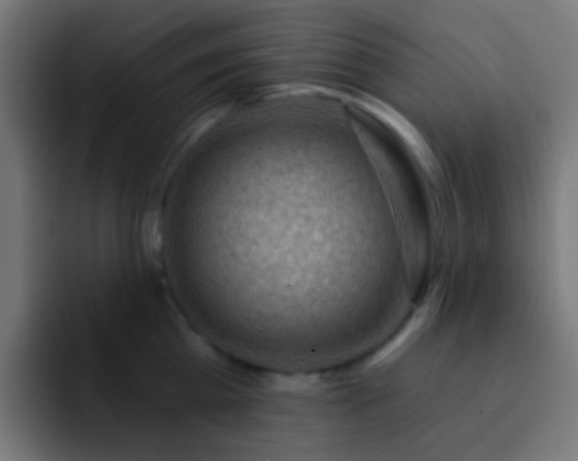 X0000093140809200710031409