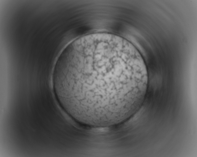 X0000093140810200710031409