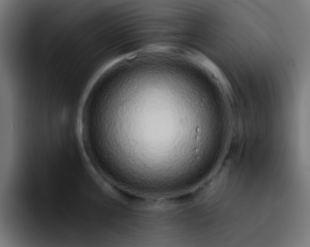 X0000093140811200710031409