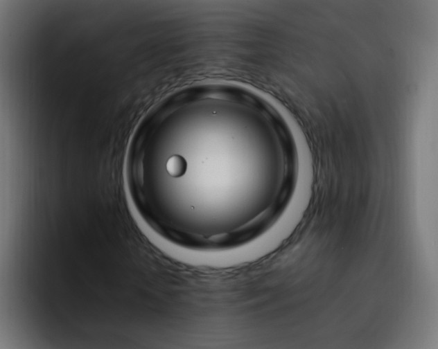 X0000093140818200710031408