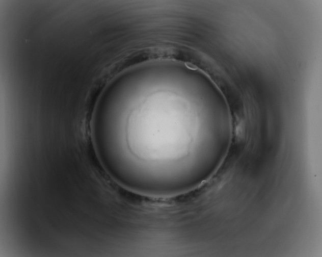 X0000093140819200710031408