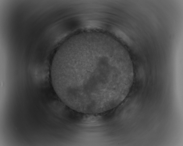 X0000093140824200710031408