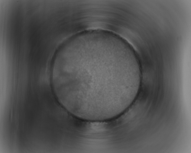 X0000093140832200710031408