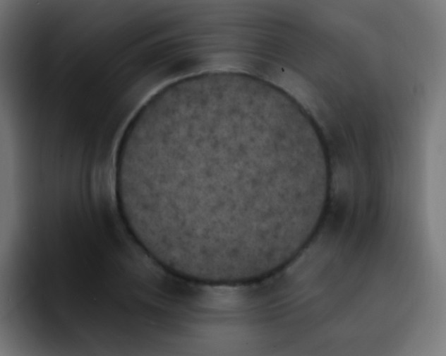 X0000093140836200710031408