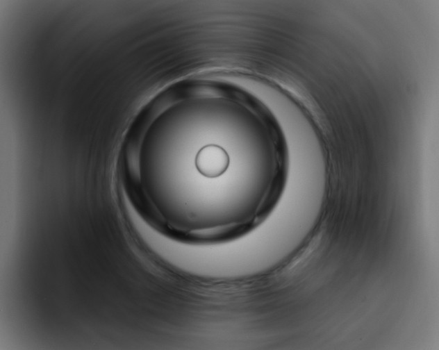 X0000093140842200710031408