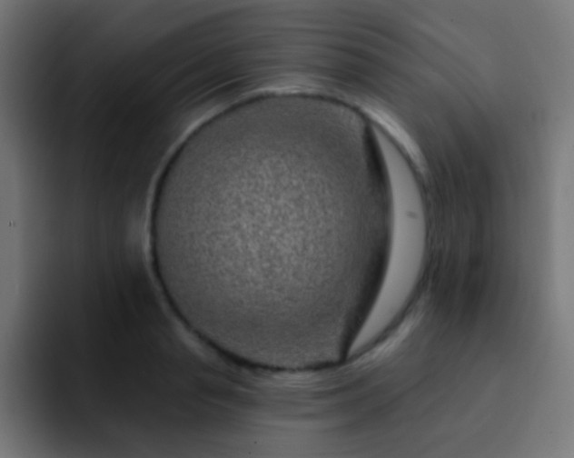 X0000093140845200710031408
