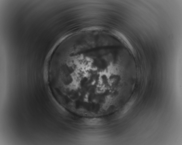 X0000093140851200710031408