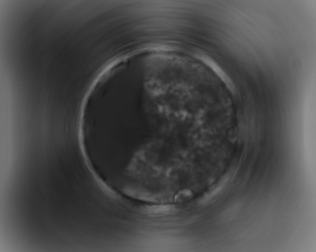 X0000093140853200710031408