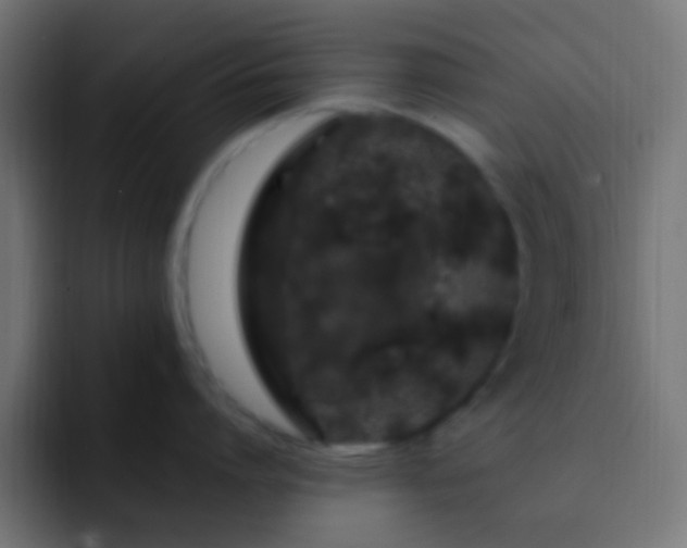 X0000093140864200710031409