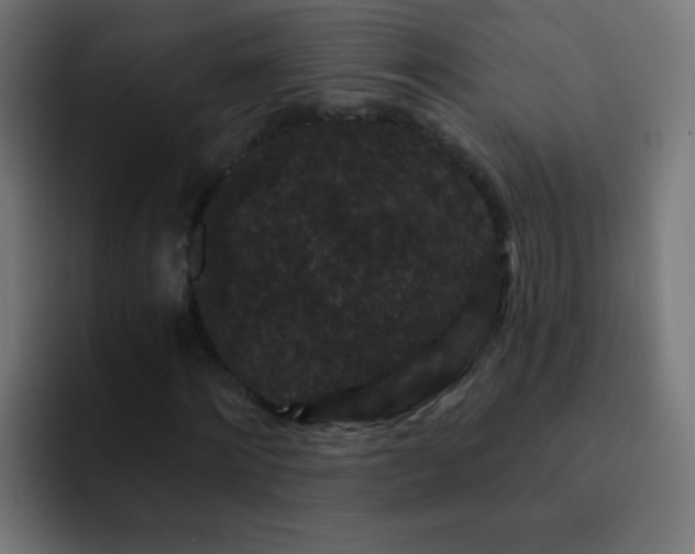 X0000093140868200710031408