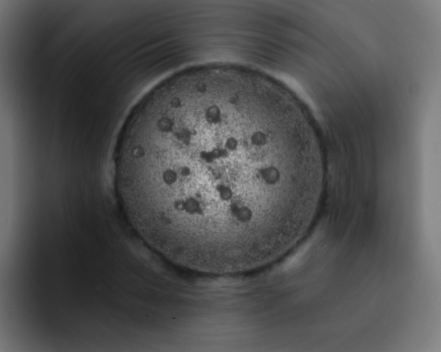 X0000093140879200710031408