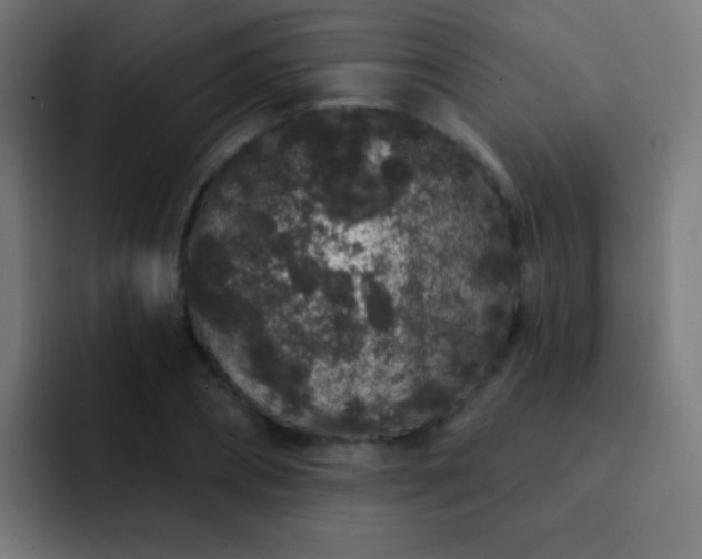X0000093140882200710031408