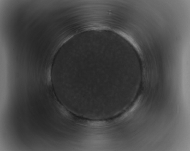 X0000093140889200710031408