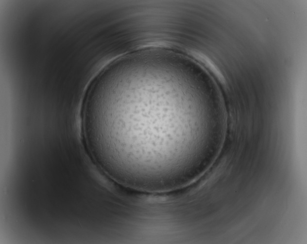 X0000093140890200710031408