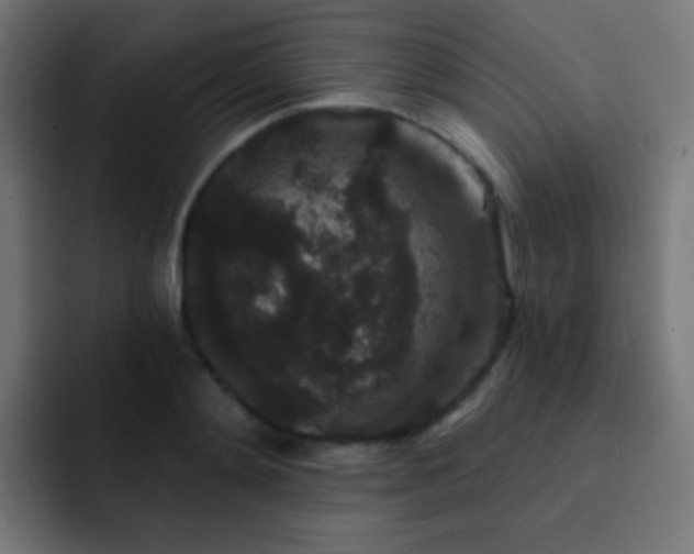 X0000093140892200710031408