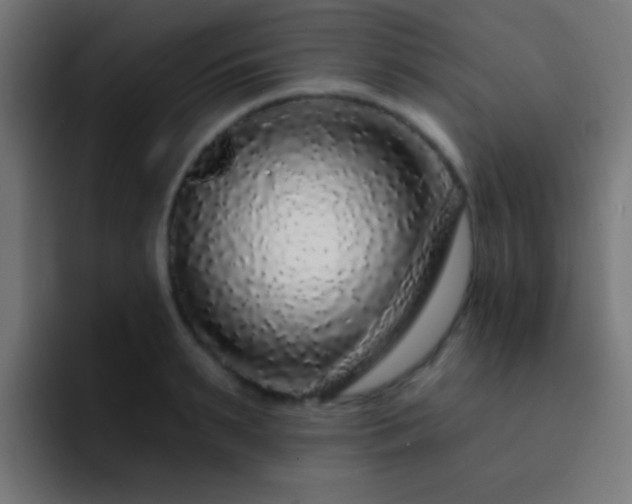 X0000093140895200710031408