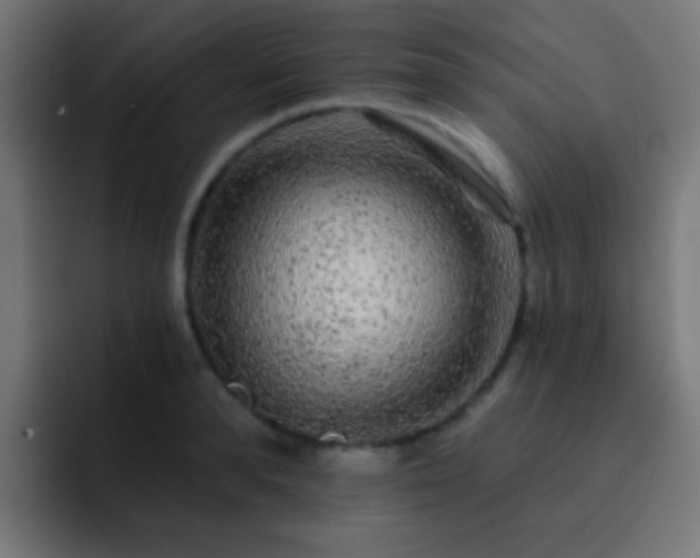 X0000093140896200710031408