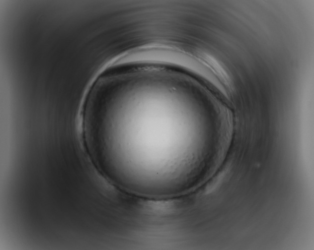 X0000093140900200710031408