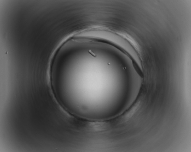 X0000093140902200710031408