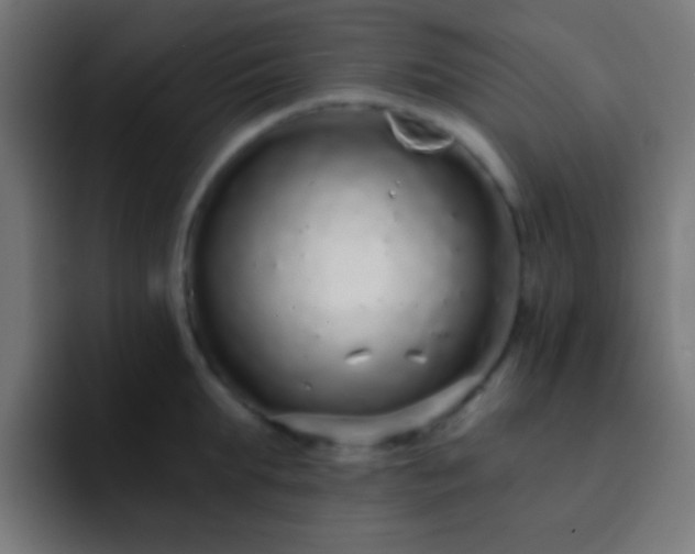 X0000093140903200710031408