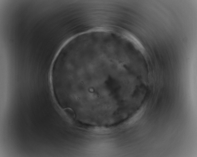 X0000093140907200710031408