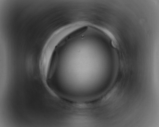 X0000093140911200710031407