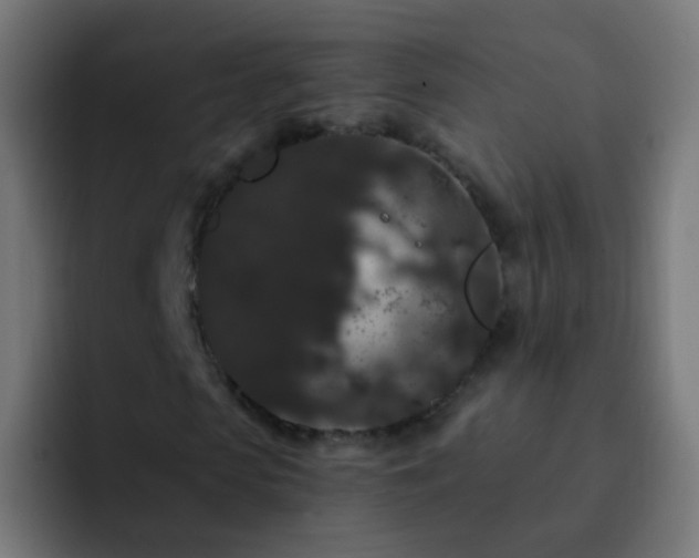 X0000093140913200710031407