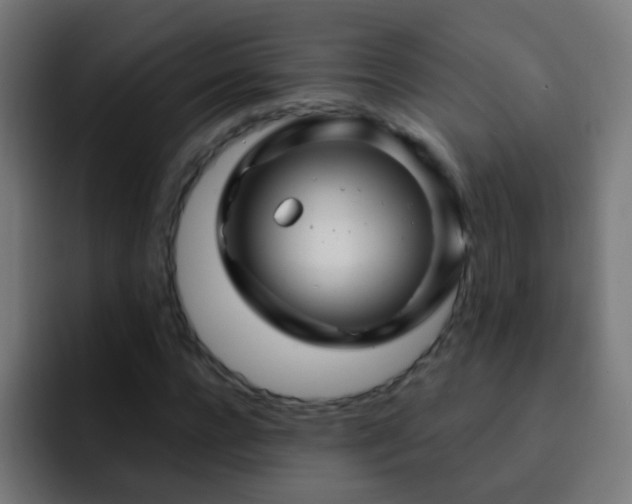 X0000093140920200710031407