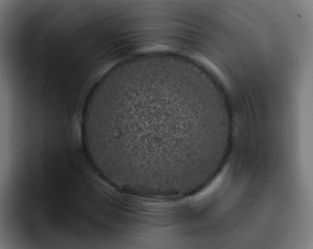 X0000093140921200710031407