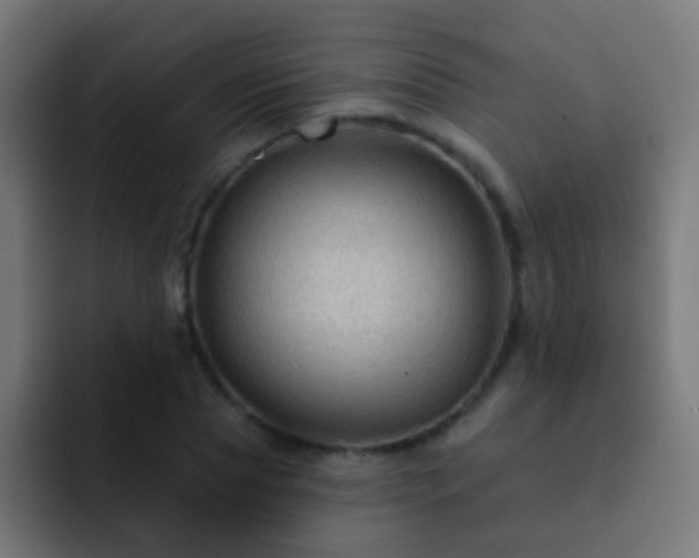 X0000093140929200710031407