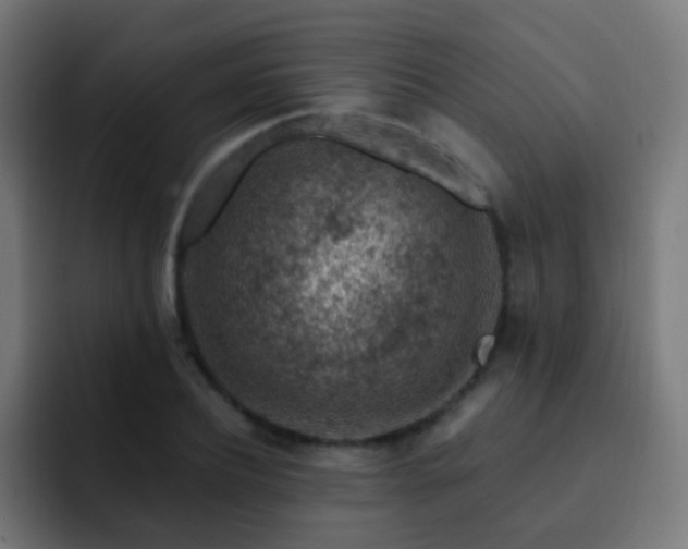 X0000093140932200710031407