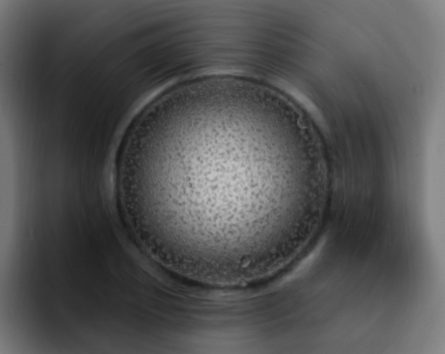 X0000093140933200710031407