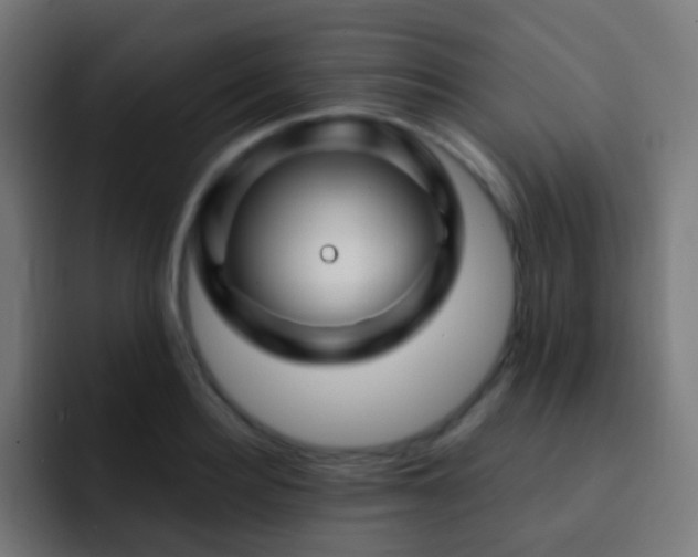 X0000093140940200710031407