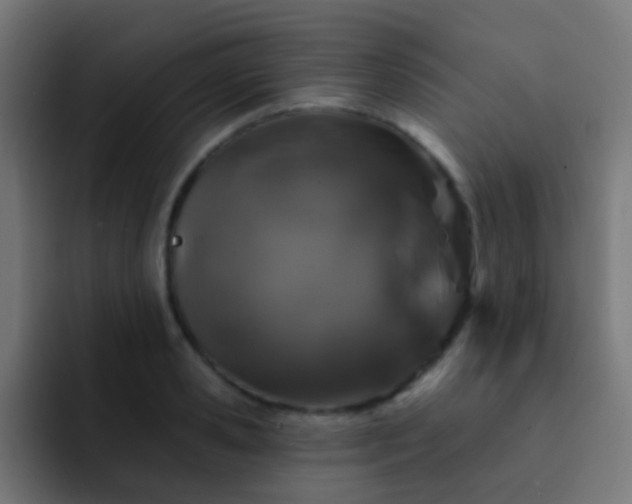 X0000093140941200710031407
