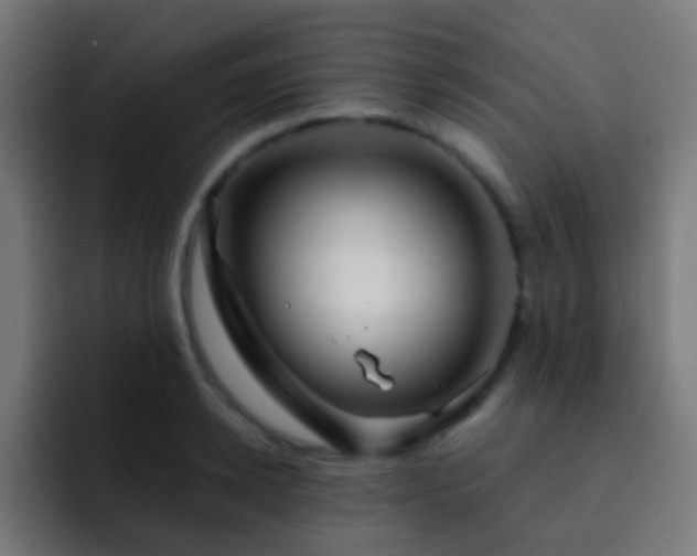 X0000093140942200710031407