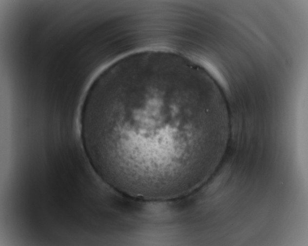X0000093140944200710031407