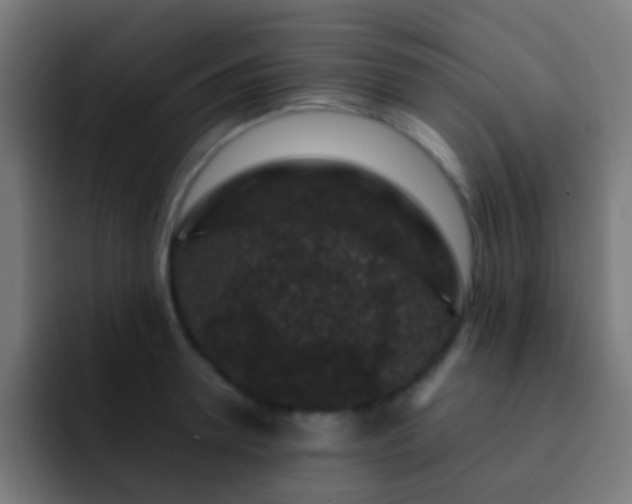 X0000093140946200710031407