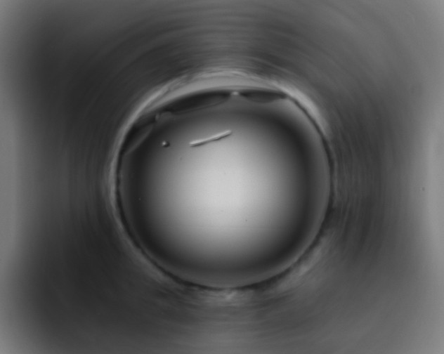 X0000093140949200710031407