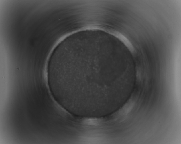 X0000093140950200710031407