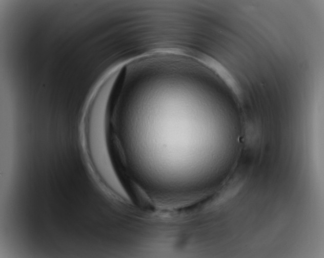 X0000093140955200710031407